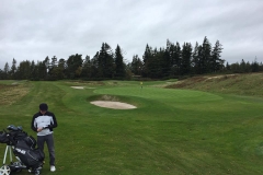 22527981_1720921531273042_6990090399188201555_n