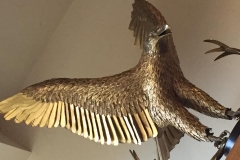 22540185_1720921417939720_3746337806617191800_n