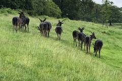 65117978_2567451396620047_2636869526129475584_n