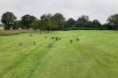 65460957_2567451066620080_993891351105896448_n